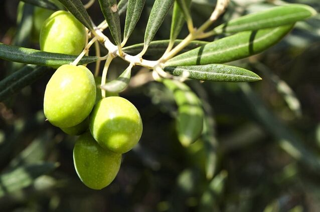 avantages de consommer des olives avec un régime cétogène